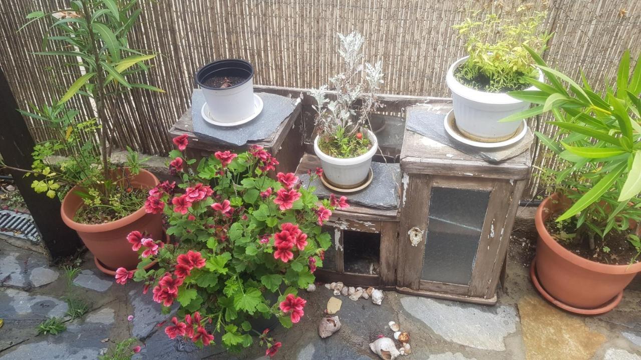 Guest House Antique Созополь Екстер'єр фото